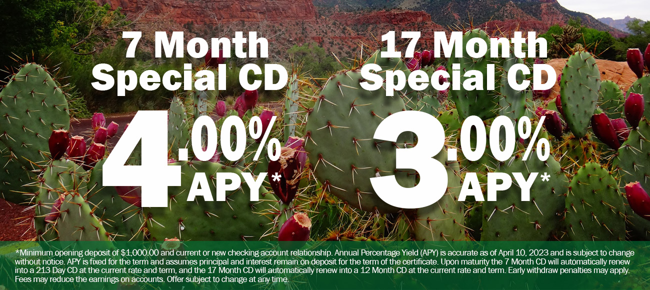 CD Special Advertisement